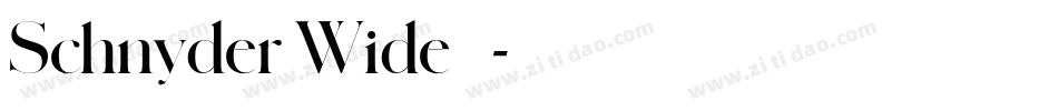 Schnyder Wide 字体字体转换